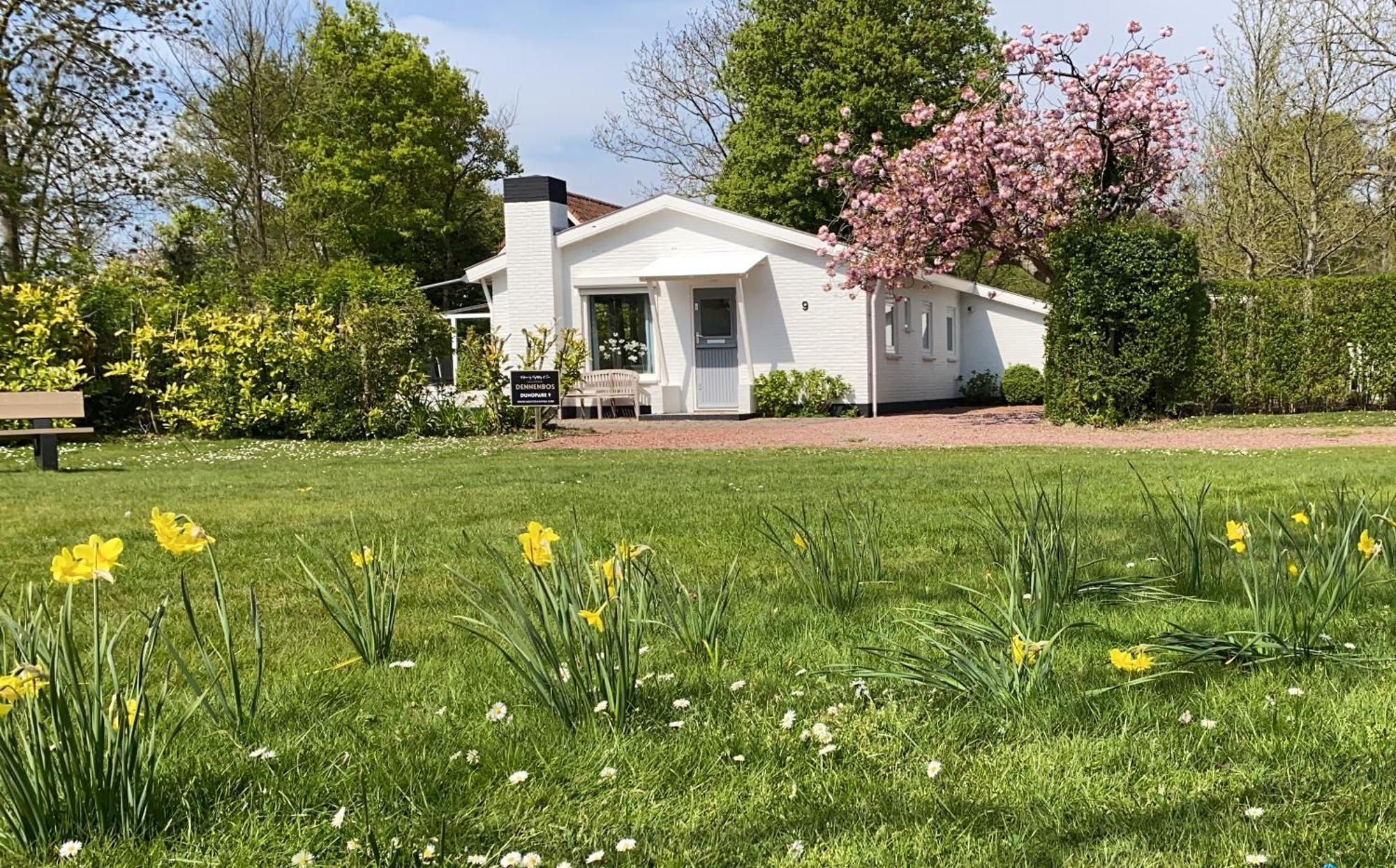Holiday Park Dennenbos Oostkapelle Exterior photo